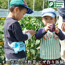 【ふるさと納税】新鮮オーガニック野菜でピザ作り体験　【体験チケット】　お届け：2022年4月下旬〜9月下旬まで