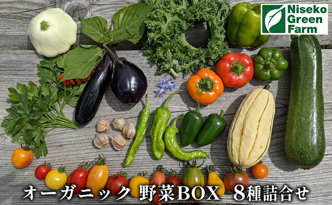 【ふるさと納税】オーガニック野菜BOX8種類詰合せ　【野菜・セット・詰合せ】　お届け：2022年7月中旬〜9月中旬まで