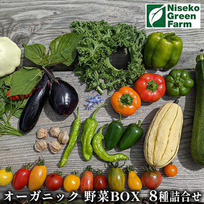 【ふるさと納税】オーガニック野菜BOX8種類詰合せ　【野菜・セット・詰合せ】　お届け：2022年7月中旬〜9月中旬まで
