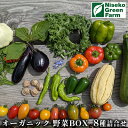 【ふるさと納税】オーガニック野菜BOX10種類詰合せ　【野菜・セット・詰合せ】　お届け：2020年7月20日〜8月31日まで