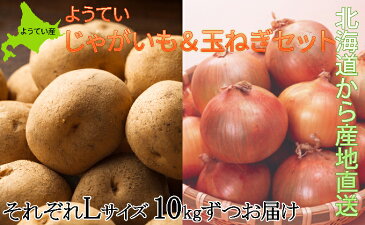 【ふるさと納税】ようていじゃがいも【きたかむい】&ようてい玉ねぎ20kg≪北海道ようてい産≫ 【定期便・野菜・じゃがいも・野菜・玉ねぎ・芋・セット・タマネギ】 お届け:2022年1月中旬〜下旬