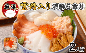 【ふるさと納税】【北海道】厳選 6種 海鮮丼 セット ≪雲丹 入り≫ 300g前後 2人前【 蟹 フレーク カニ かに うに ウニ いくら醤油 イクラ 魚卵 帆立 ホタテ タコ たこ 鮭 シャケ 秋鮭 お歳暮 】 【魚貝類・ウニ・雲丹・いくら・鮭・サーモン】