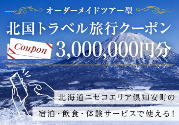 【ふるさと納税】【北海道ツアー】旅行クーポン券 ニセコ 倶知安町 オーダーメイドツアー型(3,000,000円分)事前予約 トラベルクーポン 【旅行・温泉・宿泊券・チケット・旅行クーポン券・ニセコ・倶知安町・旅行券・トラベル旅行クーポン 】