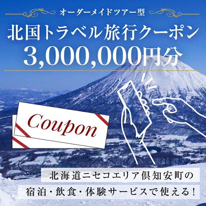 【ふるさと納税】【北海道ツアー】旅行クーポン券 ニセコ 倶知安町 オーダーメイドツアー型（3，000，000円分）事前予約 トラベルクーポン　【旅行・温泉・宿泊券・チケット・旅行クーポン券・ニセコ・倶知安町・旅行券・トラベル旅行クーポン 】