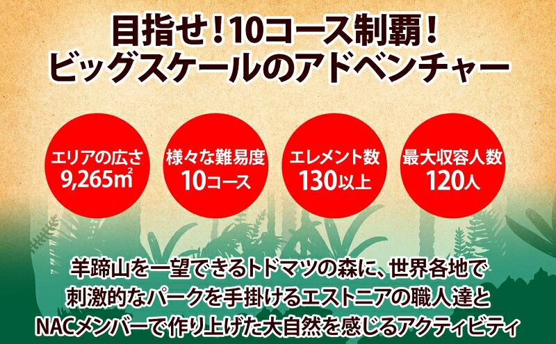 【ふるさと納税】北海道 NAC アドベンチャー パーク 大人 1日券 1枚 アウトドア アクティビティ アトラクション 冒険 ジップライン 体験チケット バンジージャンプ 子供 大人 夏季 冬季 観光 ひらふ ニセコ 野外 アドベンチャーセンター f014001-kutchan-10000078 北海道倶知安町 サンプル画像3