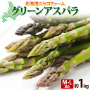 北海道産 グリーン アスパラガス 約1kg M - L サイズ混合 アスパラガス アスパラ 旬 朝採り 新鮮 お取り寄せ 産地直送 産直 野菜 農作物 詰め合わせ 国産 しりべしや ニセコファーム 北海道　　お届け：2024年5月中旬～6月上旬まで