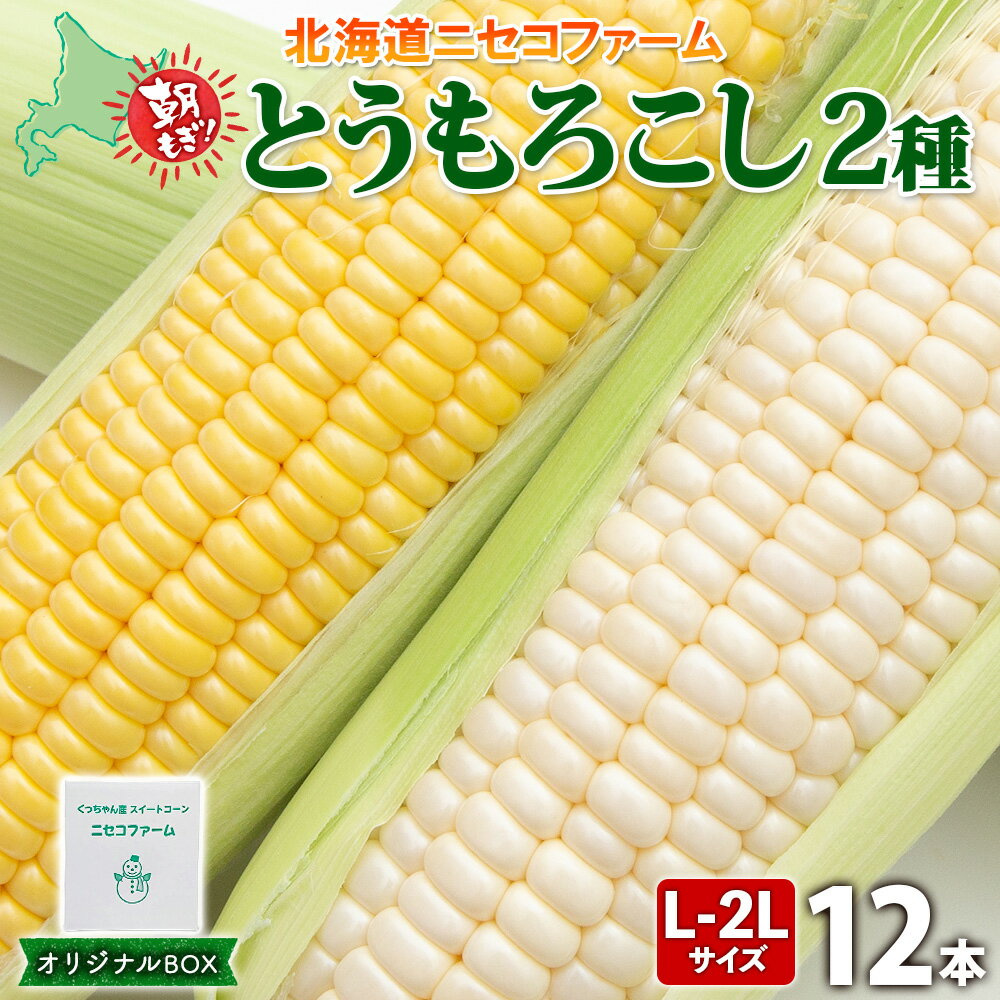 【ふるさと納税】【 2026年 発送 】 北海道産 とうもろこし 2種 計12本 L-2L サイズ混合 味来 ロイシーコーン 食べ比べ セット 旬 朝採り 新鮮...