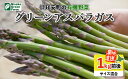 【ふるさと納税】北海道産 アスパラガス 有機 グリーンアスパラ 1kg前後 サイズ混合 オーガニック アスパラ 旬 朝採り 新鮮 お取り寄せ 産地直送 産直 野菜 農作物 送料無料 北海道 倶知安町　【 野菜 】　お届け：2024年5月25日～6月30日まで