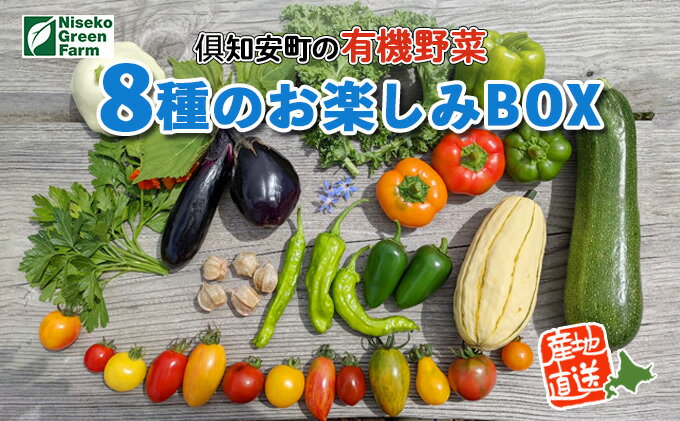 【ふるさと納税】北海道産 有機 野菜BOX 8種類 詰め合わせ セット 採れたて 夏野菜 オーガニック 旬 新鮮 詰め合わせ お取り寄せ 産地直送 産直 野菜 農作物 ギフト 送料無料 北海道 倶知安町　【 野菜セット 】　お届け：2024年7月20日～9月15日まで