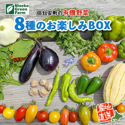 北海道産 有機 野菜BOX 8種類 詰め合わせ セット 採れたて 夏野菜 オーガニック 旬 新鮮 詰め合わせ お取り寄せ 産地直送 産直 野菜 農作物 ギフト 送料無料 北海道 倶知安町　【 野菜セット 】　お届け：2024年7月20日～9月15日まで