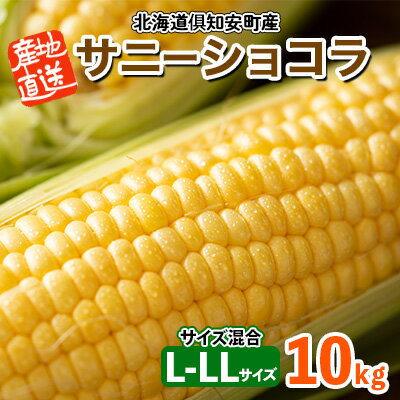 北海道産 とうもろこし サニーショコラ 計18〜20本 10kg前後 L-LL 旬 スイート コーン イエロー トウモロコシ お取り寄せ 産地直送 野菜 とうきび 送料無料 北海道 倶知安町 [野菜・とうもろこし・野菜セット] お届け:2024年8月上旬〜9月下旬迄