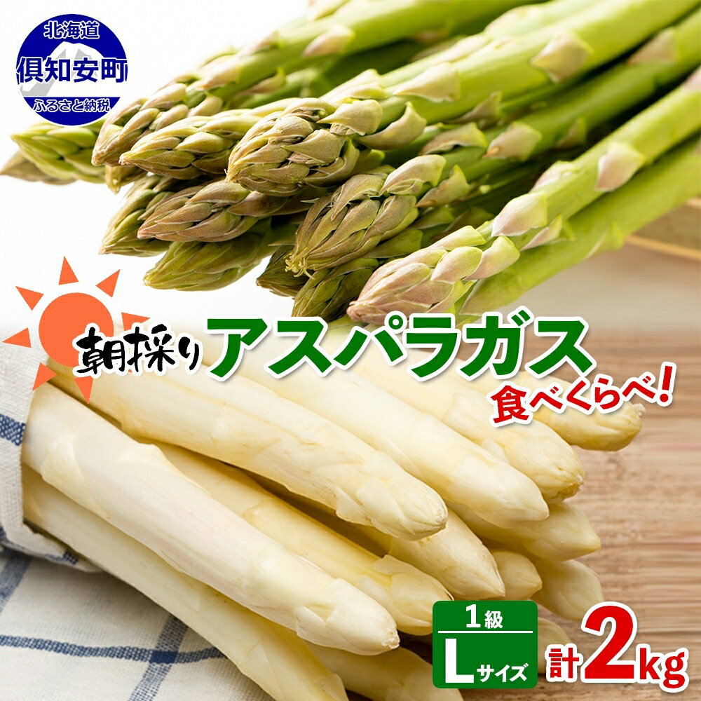 【ふるさと納税】アスパラガス 北海道 グリーン L ホワイト 1級品大・中 各1kg 食べ比べ セット 計2kg 春 限定 旬 朝採り 新鮮 野菜 アスパラ ギフト gift 産地直送 産直 お取り寄せ 詰め合わせ 送料無料　【アスパラガス・野菜】　お届け：2023年5月中旬〜6月中旬のサムネイル