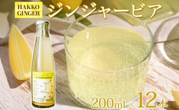 【ふるさと納税】北海道 自家製 ジンジャービア 200ml×12本 HAKKO GINGER 発酵 ジンジャー ビール 生姜 レモン 辛口 ノンアルコール 炭酸 ヘルシー　【野菜飲料・野菜ジュース・飲料類・炭酸飲料】　お届け：2023年11月中旬より順次出荷