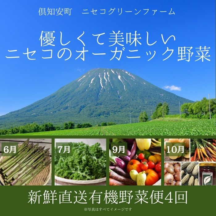 【数量限定】北海道 ニセコ 旬の有機栽培野菜セット 定期配送4回分 オーガニック 野菜詰め合わせ お取り寄せ グルメ アスパラガス とうもろこし 詰合せ