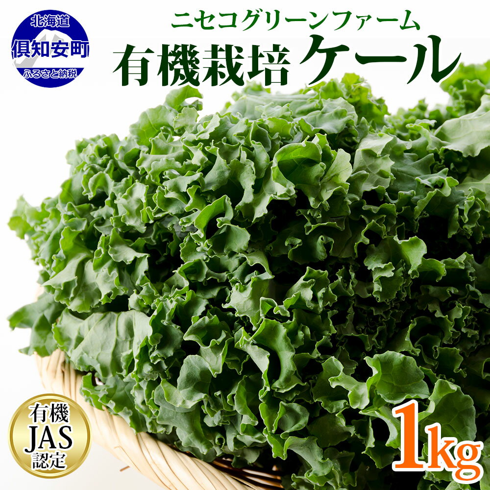 【ふるさと納税】北海道産 旬の有機栽培野菜 ケール 1kg 有機栽培 オーガニック オーガニック野菜 有機野菜 有機jas認証 西洋野菜 ケール 生葉 青汁 スムージー 緑黄色野菜 新鮮 お取り寄せ　【ハーブ・野菜・野菜セット・ケール・1kg】　お届け：8月上旬～9月下旬のサムネイル