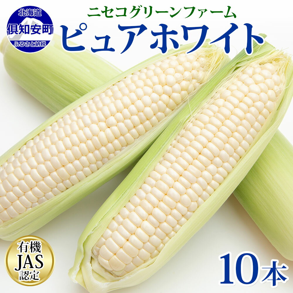 【ふるさと納税】北海道産 旬の有機栽培野菜 ピュアホワイト 10本 3kg以上 とうもろこし 白 有機栽培 オーガニック 有機野菜 有機jas認証 西洋野菜 コーン 新鮮 お取り寄せ 送料無料 ニセコグリーンファーム 北海道 倶知安町　 野菜 甘い 　お届け：8月下旬～9月上旬のサムネイル