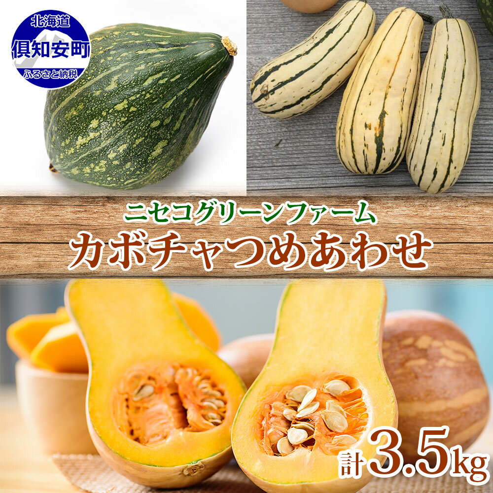 【ふるさと納税】北海道産 旬の有機栽培野菜 かぼちゃ 3.5kg ミニバターナッツ デリカタ ロロン 有機栽培 オーガニック 有機野菜 有機jas認証 西洋野菜 新鮮 お取り寄せ 送料無料 ニセコグリーンファーム 北海道 倶知安町　【 詰め合わせ 】　お届け：9月下旬〜10月下旬