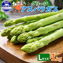 【ふるさと納税】【2026年発送】 アスパラガス 北海道 グリーン 1kg セット Lサイズ 春 限定 旬 朝採り 新鮮 野菜 アスパラ ギフト gift 産地直送 産直 お取り寄せ 詰め合わせ 送料無料 お届け:2026年5月中旬~6月中旬