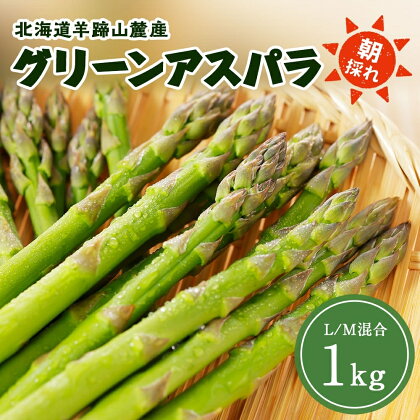 北海道 グリーンアスパラガス 約1kg M-L サイズ混合 アスパラガス アスパラ 朝採れ 採れたて 新鮮 野菜 農作物 産直 国産 羊蹄山麓産 JAようてい 送料無料 北海道 倶知安町　【 新鮮 アスパラ 1キロ 採れたて 】　お届け：2024年5月27日頃～6月14日頃まで