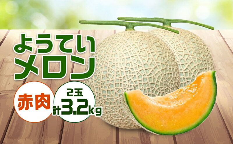 【ふるさと納税】北海道 赤肉メロン 約1.6kg 2玉 メロン 赤肉 果物 フルーツ 甘い 完熟 スイーツ デザート 産直 国産 贈答品 お祝い ギフト羊蹄山 JAようてい 送料無料 北海道 倶知安町 1玉 　お届け：2025年8月下旬～9月中旬頃まで