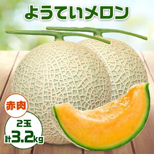 【ふるさと納税】北海道 赤肉メロン 約1.6kg 2玉 メロン 赤肉 果物 フルーツ 甘い 完熟 スイーツ デザート 産直 国産 贈答品 お祝い ギフト羊蹄山 JAようてい 送料無料 北海道 倶知安町　【 赤肉 ようてい 1玉】　お届け：2024年8月20日頃～9月13日頃まで