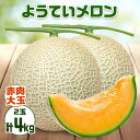 【ふるさと納税】【 2025年発送 】先行予約 北海道 赤肉メロン 大玉 約2kg 2玉 メロン 赤肉 果物 フルーツ 甘い 完熟 スイーツ デザート 産直 国...