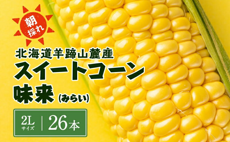 【ふるさと納税】北海道 スイートコーン 味来 約10kg 2Lサイズ 計26本 とうもろこし とうきび コーン 新鮮 採れたて 産直 JAようてい 送料無料 北海道 倶知安町 　【 味来 2Lサイズ 26本 10キロ 】　お届け：2024年8月20日頃～9月6日頃まで