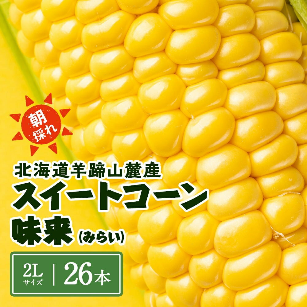 【ふるさと納税】北海道 スイートコーン 味来 約10kg 2Lサイズ 計26本 とうもろこし とうきび コーン 新鮮 採れたて 産直 JAようてい 送料無料 北海道 倶知安町 10キロ お届け:2025年8月下旬~9月上旬頃まで