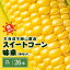 【ふるさと納税】北海道 スイートコーン 味来 約10kg 2Lサイズ 計26本 とうもろこし とうきび コーン 新鮮 採れたて 産直 JAようてい 送料無料 北海道 倶知安町 　【 味来 2Lサイズ 26本 10キロ 】　お届け：2024年8月20日頃～9月6日頃まで