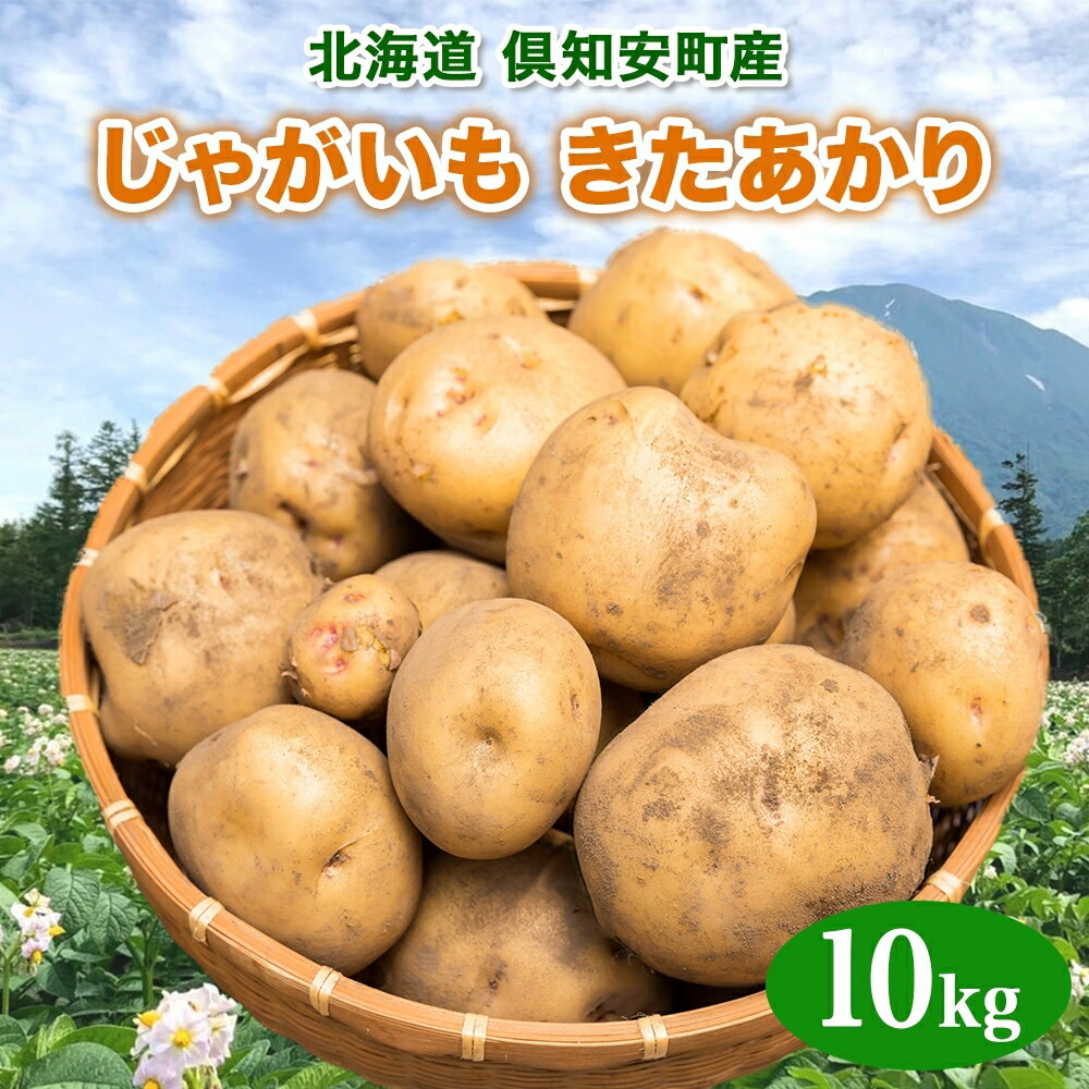 北海道産 じゃがいも きたあかり 約10kg 芋 ジャガイモ いも 自然 旬 新鮮 野菜 直送 常温 農作物 お取り寄せ 野菜 ポテト 農作物 お取り寄せ 送料無料 縁樹 北海道 倶知安町 [ 根菜 ] お届け:2024年10月下旬〜11月上旬