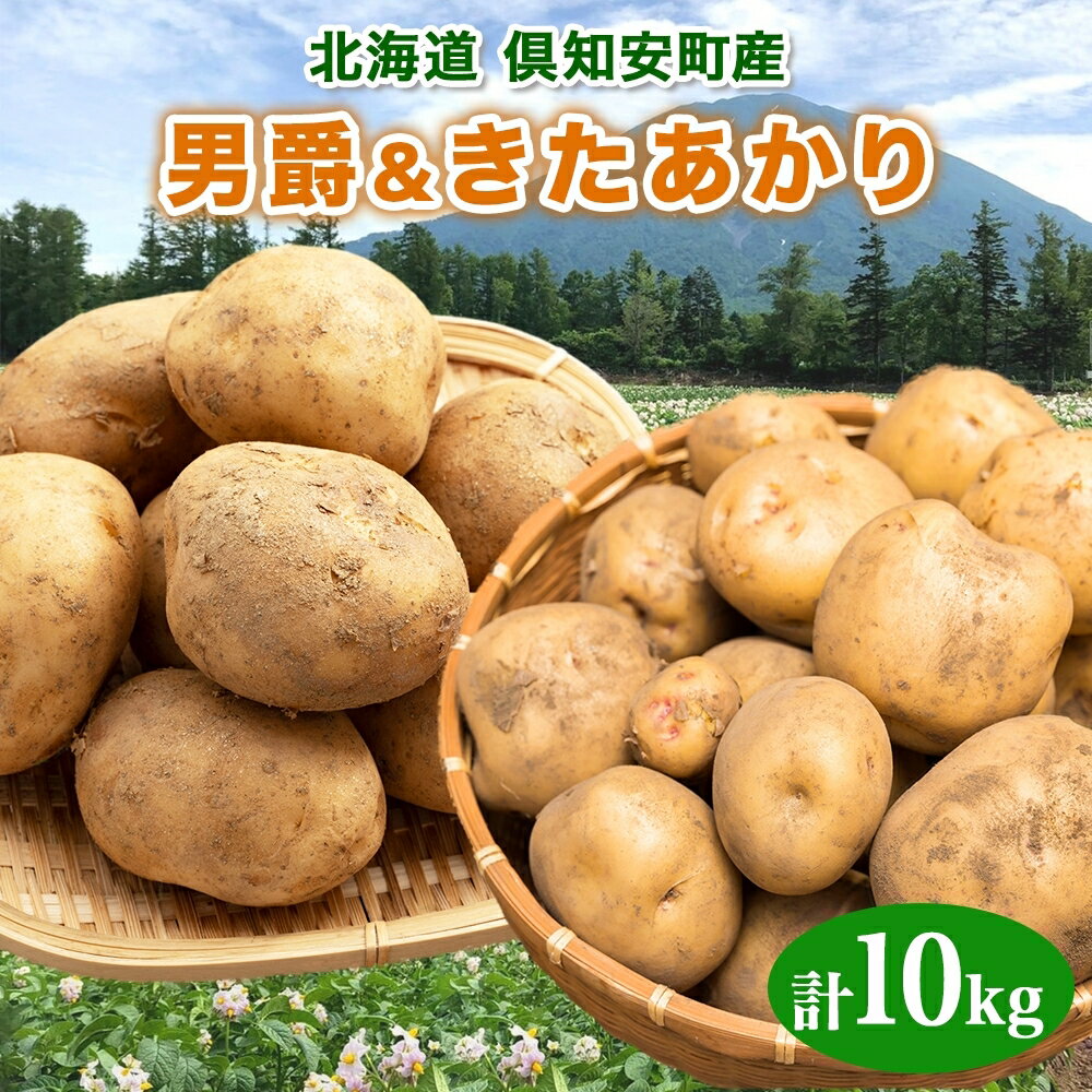 【ふるさと納税】北海道産 じゃがいも 2種セット 男爵 きたあかり 約10kg じゃが芋 ジャガイモ 芋 いも ポテト 食べ比べ 新鮮 野菜 直送 農作物 お取り寄せ 送料無料 縁樹 北海道 倶知安町 根菜 　お届け：2025年10月下旬～11月上旬のサムネイル
