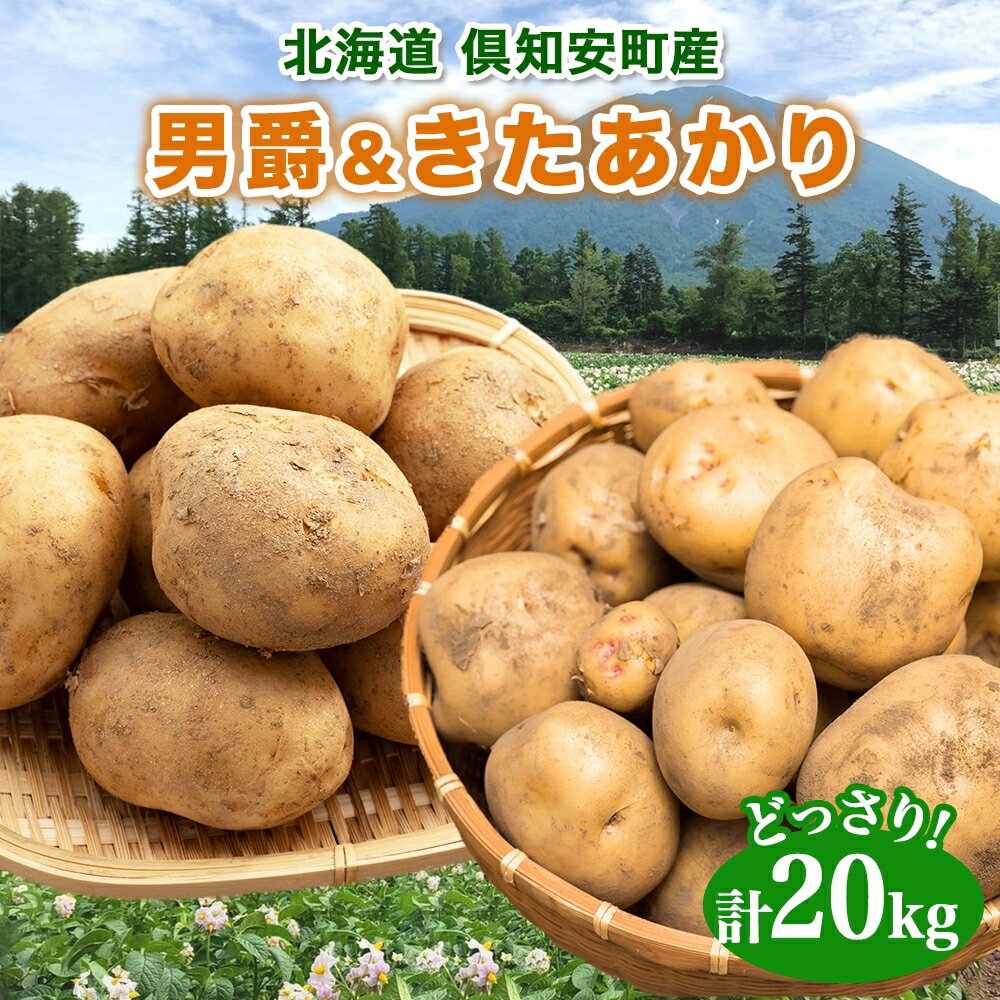 【ふるさと納税】北海道産 じゃがいも 2種セット 男爵 きたあかり 約20kg じゃが芋 ジャガイモ 芋 いも..