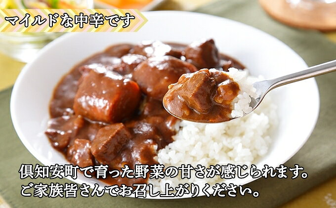 【ふるさと納税】無地熨斗 倶知安 ビーフカレー 中辛 計5個 北海道 レトルト食品 牛肉 ビーフ 野菜 じゃがいも カレー レトルト お取り寄せ グルメ スパイス スパイシー おかず f014001-kutchan-10000592 北海道倶知安町 サンプル画像3
