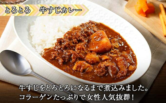 【ふるさと納税】無地熨斗 倶知安 牛すじカレー 中辛 計5個 北海道 レトルト食品 牛すじ 野菜 じゃがいも お取り寄せ グルメ スパイス おかず お肉 牛肉 加工食品 レトルト f014001-kutchan-10000591 北海道倶知安町 サンプル画像2