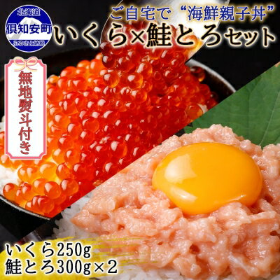 【ふるさと納税】無地熨斗 北海道産 いくら醤油漬け 鮭とろ おかず 冷凍 計3個 セット イクラ 魚卵 秋鮭 鮭 トロ 海鮮 2色丼 魚介 おつまみ 珍味 簡単 手巻き寿司 ご飯のお供 おかず お取り寄せ　【魚卵】のサムネイル