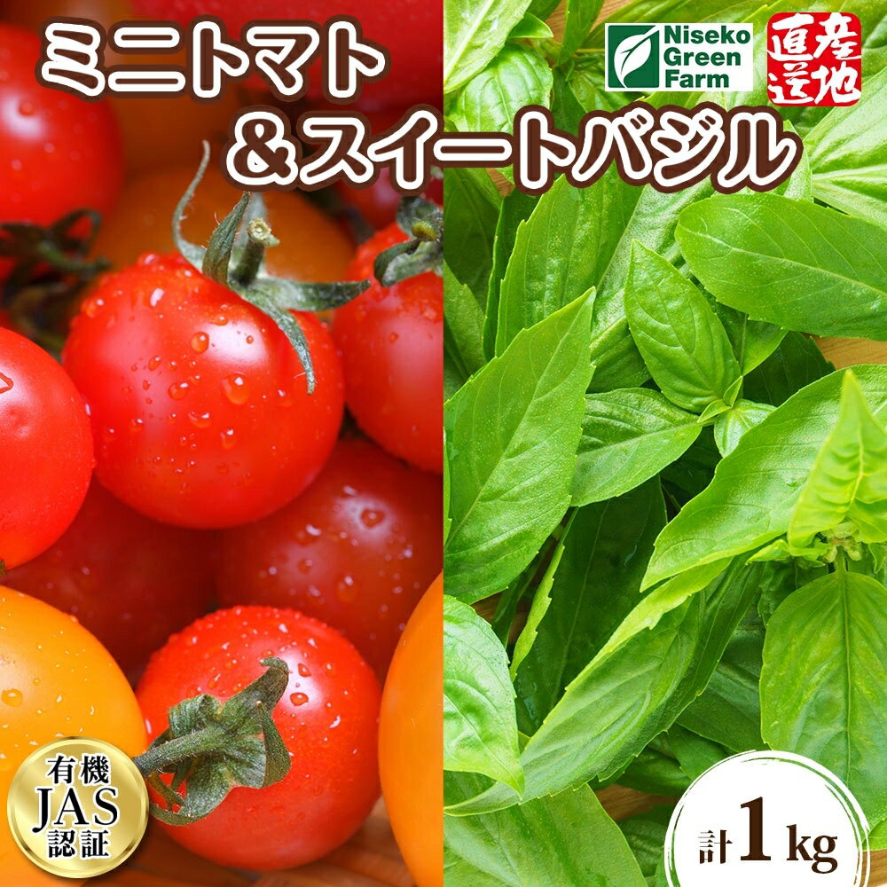 北海道 有機栽培 ミニトマト＆スイートバジル 約1kg 詰め合わせ プチトマト トマト バジル オーガニック 有機野菜 JAS 産直 産地直送 ニセコグリーンファーム　【 野菜 ミニトマト スイートバジル 有機ミニトマト 】　お届け：2024年7月20日～9月15日まで