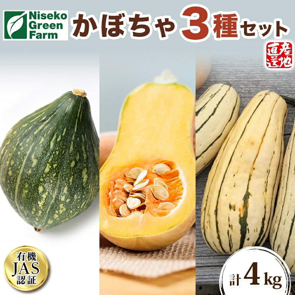 1位! 口コミ数「0件」評価「0」北海道 オーガニック かぼちゃ3種 計約4kg カボチャ デリカタ ミニバターナッツ ロロン 南瓜 有機野菜 野菜 有機栽培 JAS 産直 ･･･ 