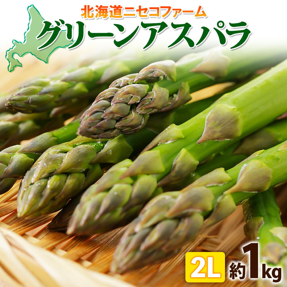 【ふるさと納税】北海道産 グリーン アスパラガス 約1kg 2L アスパラガス アスパラ 旬 朝採り 野菜 新鮮 野菜 お取り寄せ 産地直送 産直 野菜 農作物 詰め合わせ アスパラ 国産 野菜 しりべしや ニセコファーム 北海道　【 野菜 】　お届け：2024年5月中旬～6月上旬まで