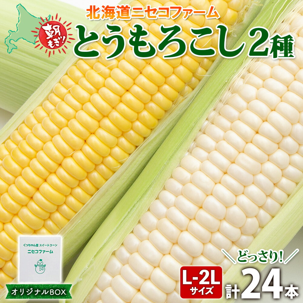 【ふるさと納税】北海道産 とうもろこし 2種 計24本 L-2L サイズ混合 味来 ロイシーコーン 食べ比べ セ..