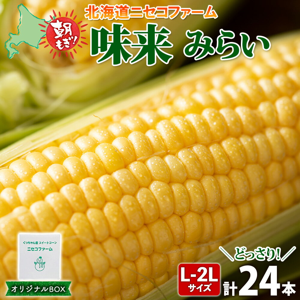 42位! 口コミ数「0件」評価「0」北海道産 とうもろこし 味来 計24本 L-2L サイズ混合 大きめ みらい 旬 朝採り 新鮮 トウモロコシ 甘い 夏野菜 とうきび お取り･･･ 