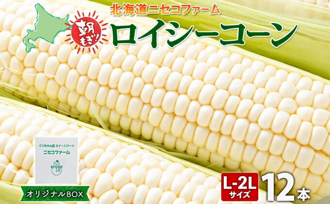【ふるさと納税】【 2026年 発送 】 北海道産 とうもろこし 計12本 L-2L サイズ混合 ロイシーコーン 大きめ 旬 朝採り 新鮮 トウモロコシ 甘い 夏野菜 とうきび お取り寄せ 産地直送 野菜 しりべしや 送料無料 　お届け：2026年8月下旬～9月中旬まで