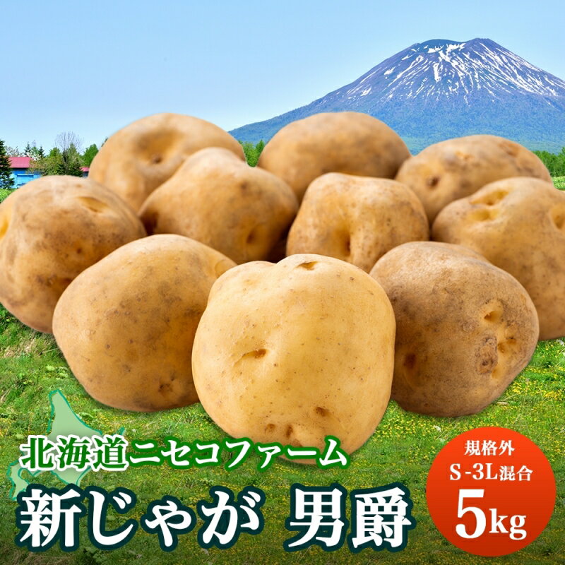 【ふるさと納税】【ニセコファーム】5kg じゃがいも 男爵 北海道 倶知安町 新鮮 採れたて ※S-3Lサイズ混合　【 野菜 じゃがいも 】　お届け：2023年10月中旬〜11月中旬のサムネイル