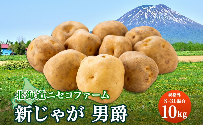 【ふるさと納税】北海道産 じゃがいも 男爵 10kg 規格外 訳あり S-3L サイズ混合 新じゃが 芋 ジャガイモ いも 新鮮 野菜 農作物 お取り寄せ 男しゃく 馬鈴薯 ニセコファーム 送料無料 北海道 倶知安町　 野菜 じゃがいも 　お届け：2024年10月中旬～11月中旬