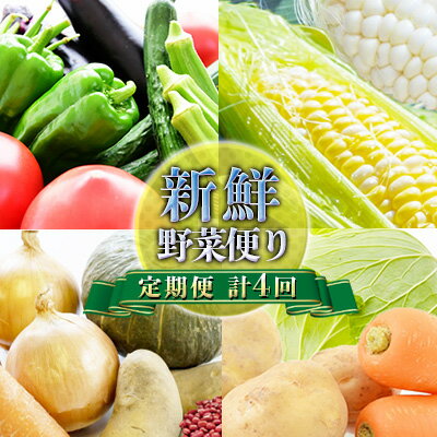 【ふるさと納税】【ニセコファーム】定期便 新鮮 野菜便り 北海道 倶知安町 新鮮 採れたて とうもろこし 夏野菜 じゃがいも 玉ねぎ　【定期便・ 野菜 セット 】　お届け：2023年7月～2024年3月下旬のサムネイル