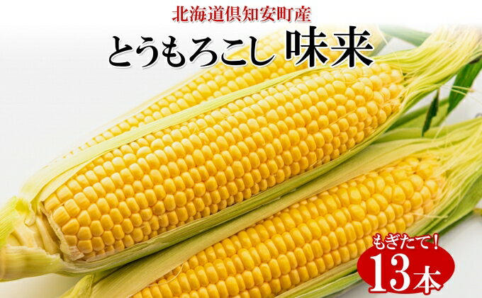 【ふるさと納税】北海道産 朝もぎ イエロー とうもろこし 味来 みらい 2Lサイズ 13本 約5kg 大きめ 夏野菜 とうきび 新鮮 野菜 トウモロコシ ギフト 産地直送 コーン 産直 グリーンアースファーム　【 スイートコーン 】　お届け：2024年8月上旬～8月下旬