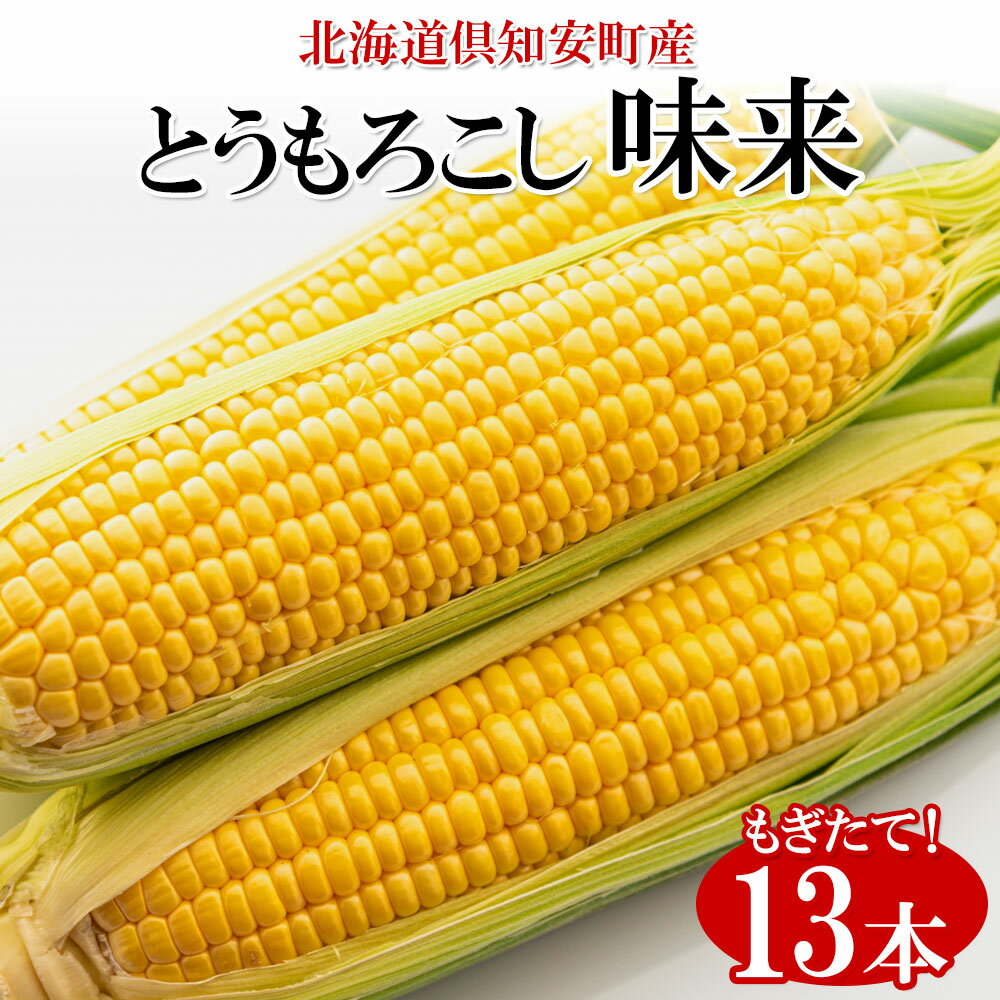 3位! 口コミ数「1件」評価「5」北海道産 朝もぎ イエロー とうもろこし 味来 みらい 2Lサイズ 13本 約5kg 大きめ 夏野菜 とうきび 新鮮 野菜 トウモロコシ ギ･･･ 