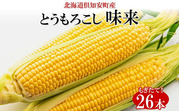 【ふるさと納税】北海道産 朝もぎ イエロー とうもろこし 味来 みらい 2Lサイズ 26本 約10kg 夏野菜 とうきび 新鮮 野菜 トウモロコシ 甘い ギフト 産地直送 コーン 産直 グリーンアースファーム　【 スイートコーン 】　お届け：2024年8月上旬～2023年8月下旬まで