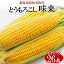 【ふるさと納税】北海道産 朝もぎ イエロー とうもろこし 味来 みらい 2Lサイズ 26本 約10kg 夏野菜 とうきび 新鮮 野菜 トウモロコシ 甘い ギフト...