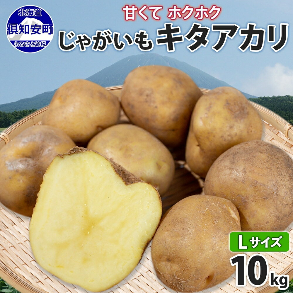 13位! 口コミ数「2件」評価「4.5」北海道産 じゃがいも キタアカリ Lサイズ 10kg 馬鈴薯 きたあかり 北あかり 黄金男爵 クリじゃがいも ジャガイモ ポテト 芋 いも ･･･ 