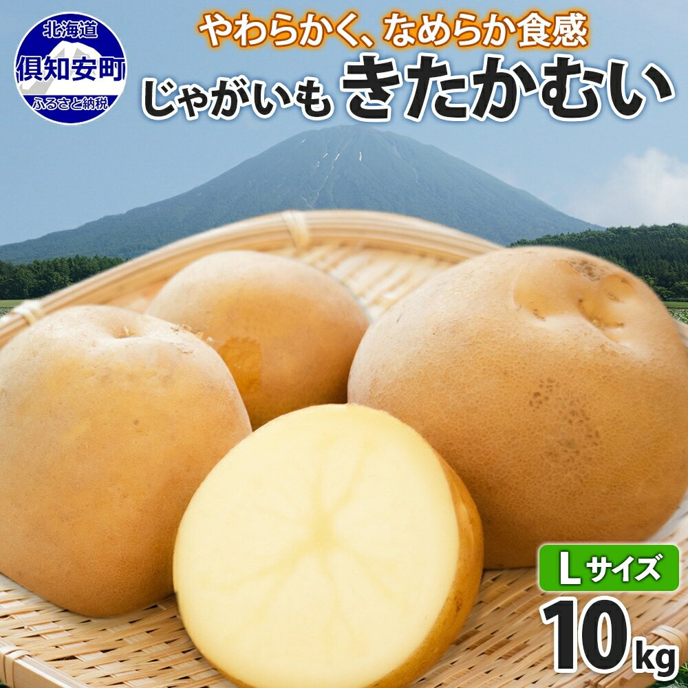 北海道産 じゃがいも きたかむい Lサイズ 10kg 馬鈴薯 キタカムイ ジャガイモ ポテト 芋 いも 旬 イモ 野菜 農作物 産地直送 産直 常温 北海道 お取り寄せ 送料無料 倶知安町 [ 羊蹄山 健康 肉じゃが ] お届け:2024年11月上旬〜12月上旬